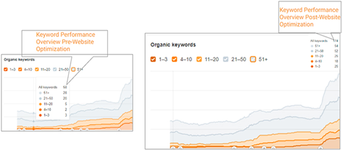 Organic Keywords data